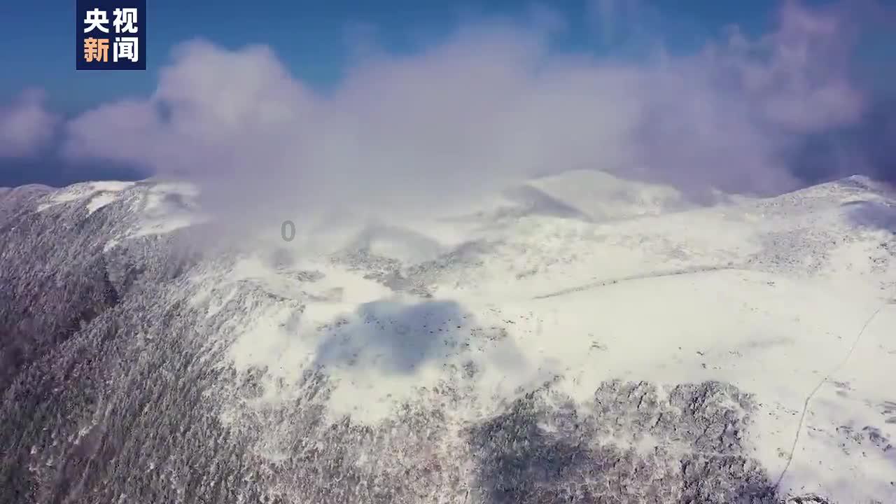 镇魔曲手游